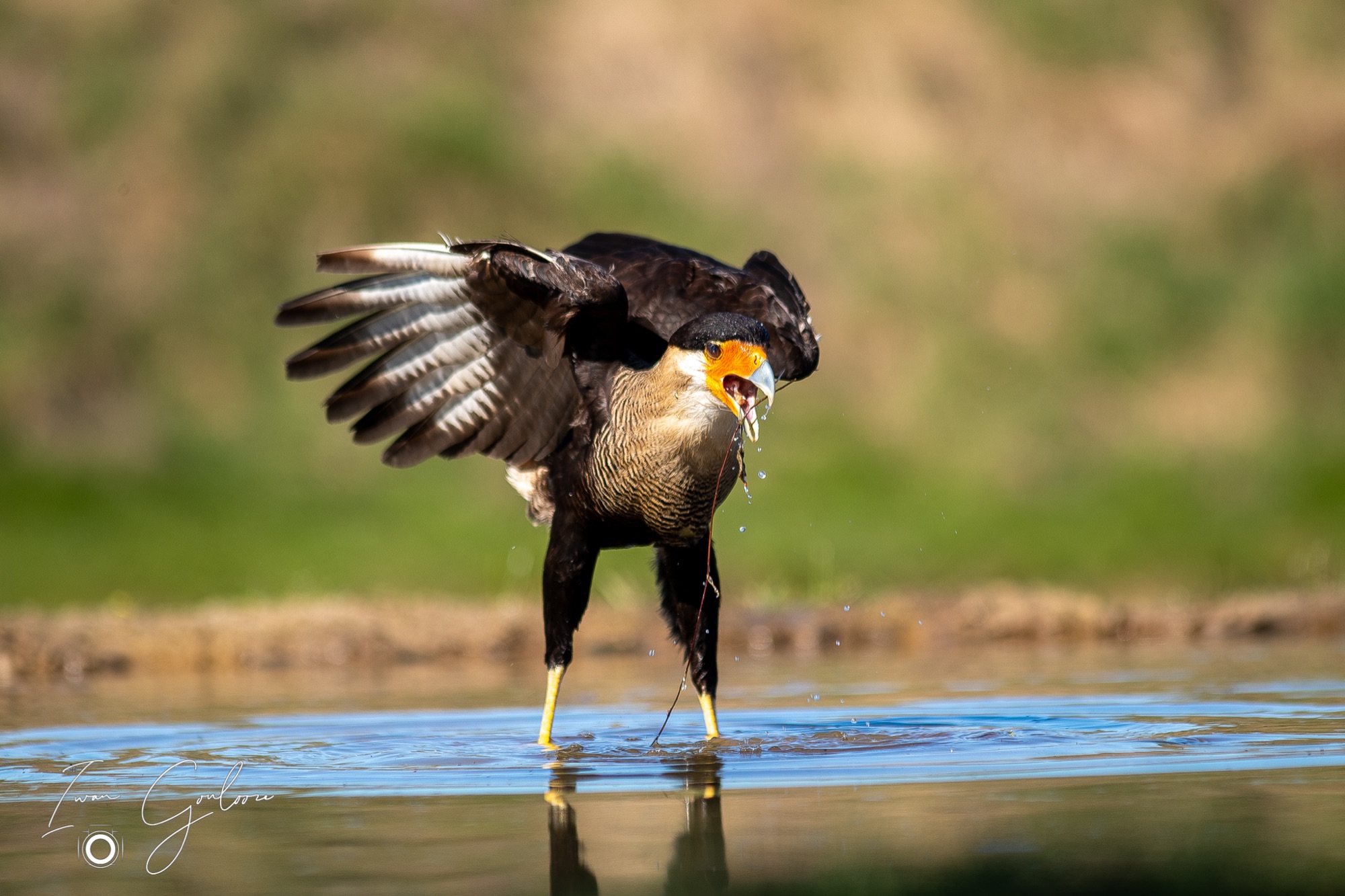 27 maart 2022 145344 1DX45736